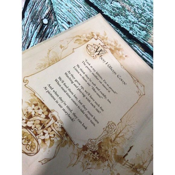 Vintage 1985 Victorian Moving Pictures Book By Ernest Nister Action Surprises Hi - Picture 3 of 15